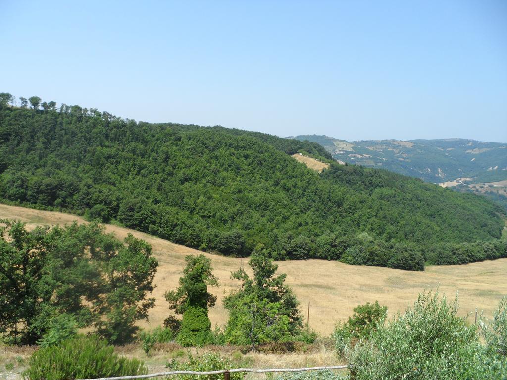 Agriturismo La Terrazza Valfabbrica Extérieur photo